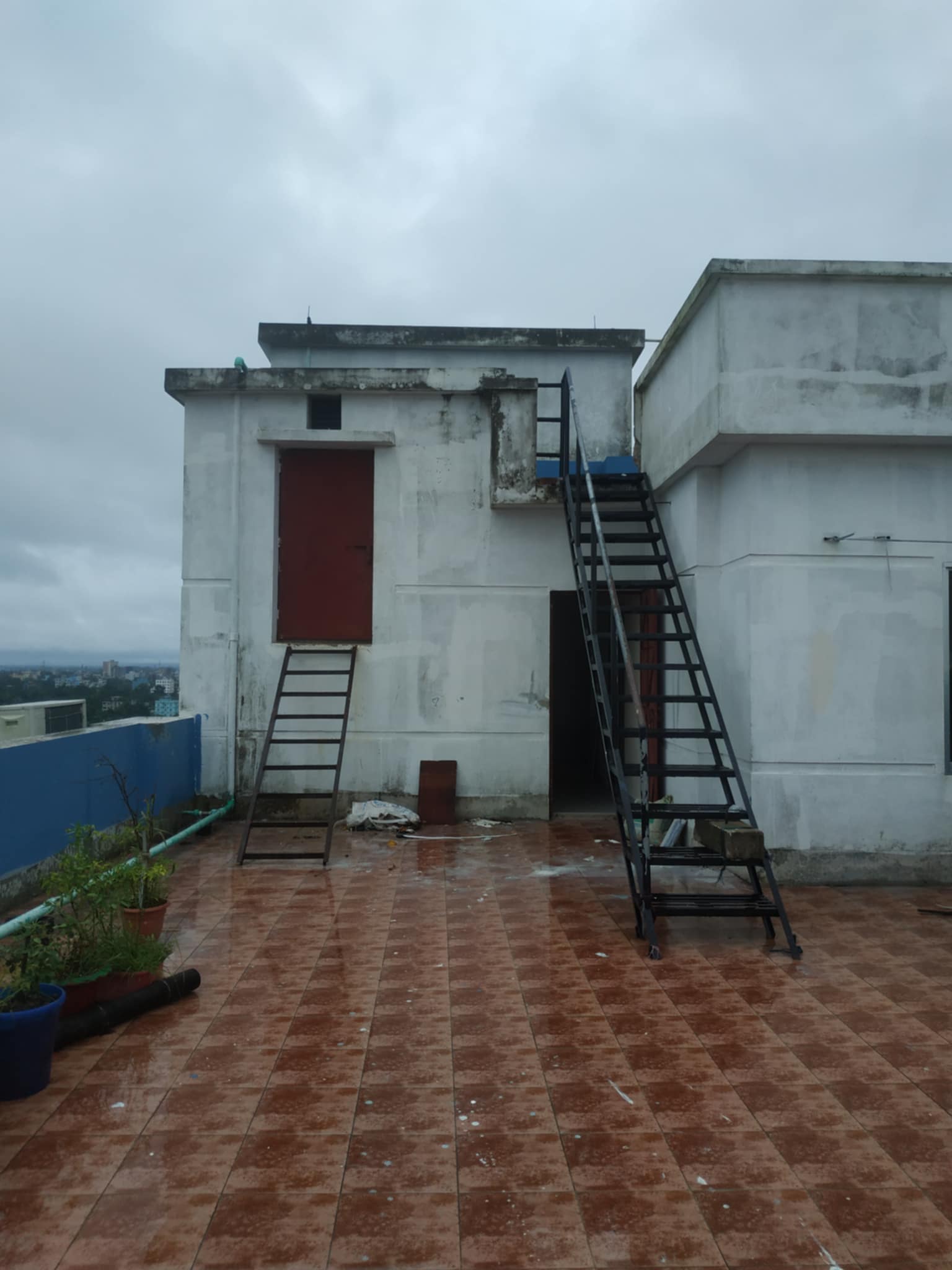 Roof top